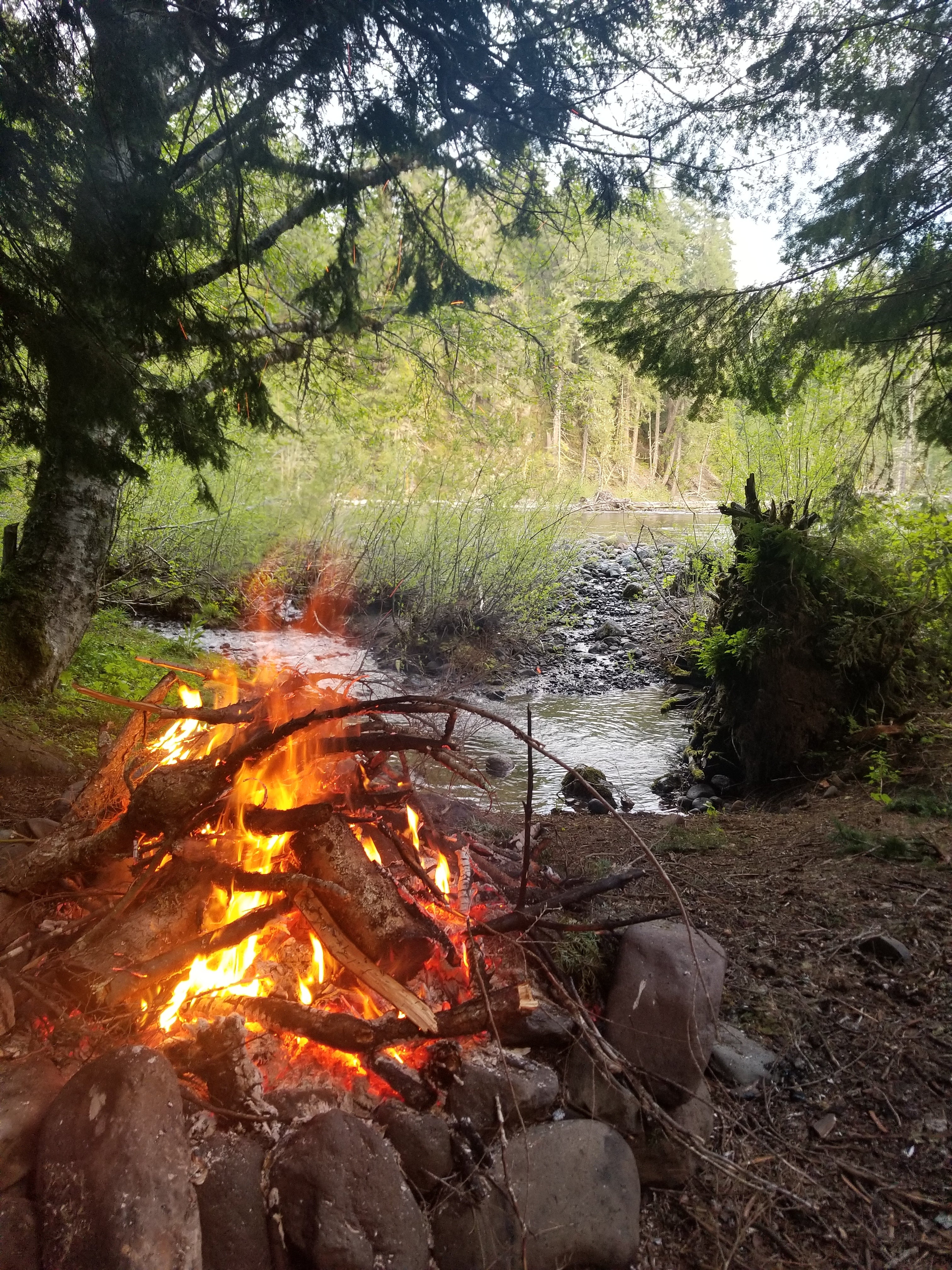Camper submitted image from Gifford Pinchot National Forest Dispersed Site - 3