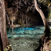 Review photo of Ginnie Springs Outdoors by Perry J., May 30, 2020