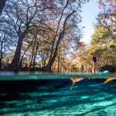 Review photo of Ginnie Springs Outdoors by Perry J., May 30, 2020