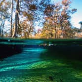 Review photo of Ginnie Springs Outdoors by Perry J., May 30, 2020