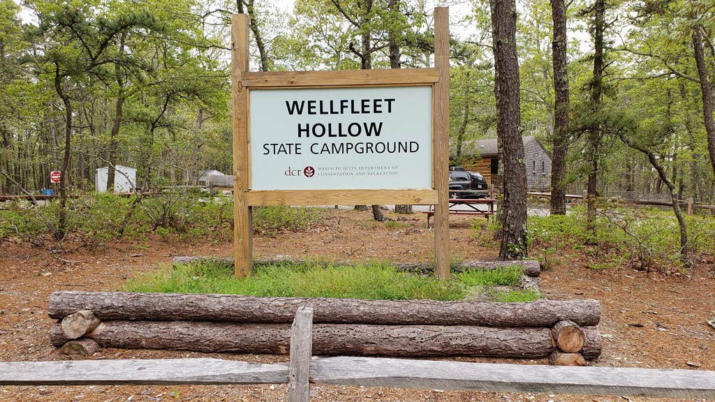 Camper-submitted photo at Wellfleet Hollow State Campground near Orleans, MA