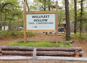 Wellfleet Hollow State Campground