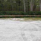 Review photo of Wellfleet Hollow State Park Campground by Jean C., May 30, 2020