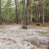 Review photo of Wellfleet Hollow State Park Campground by Jean C., May 30, 2020