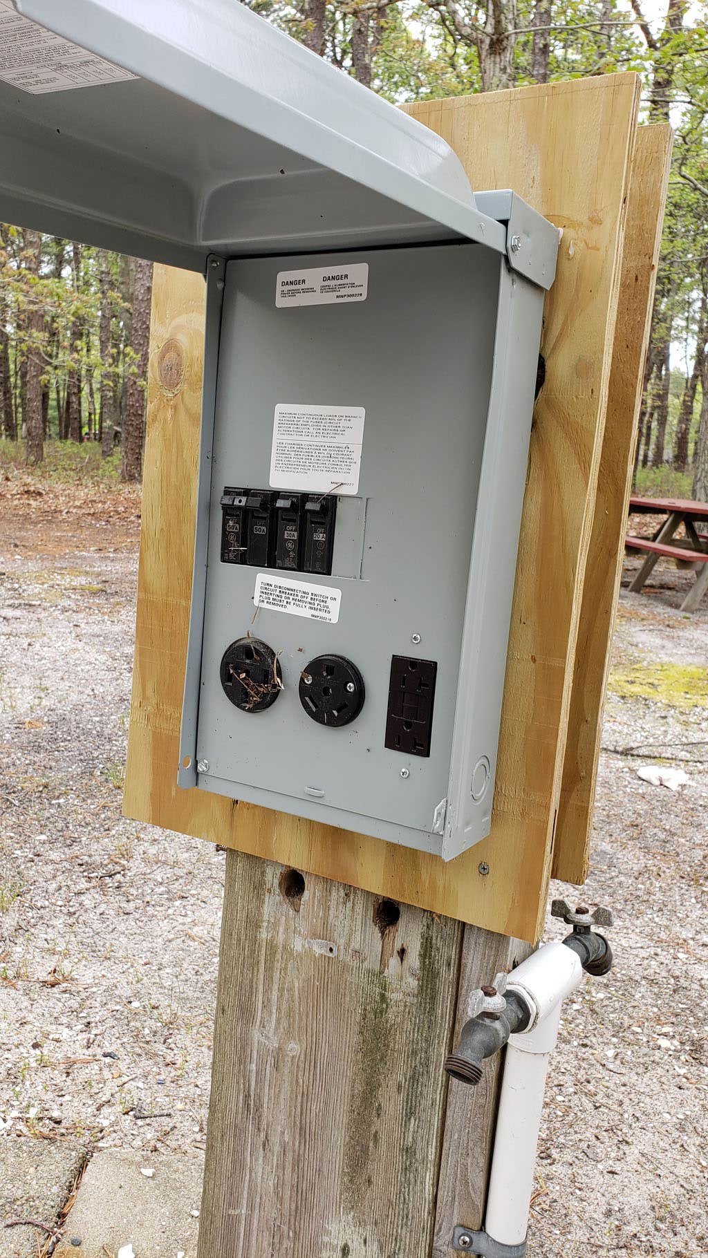 Camper submitted image from Wellfleet Hollow State Park Campground - 1