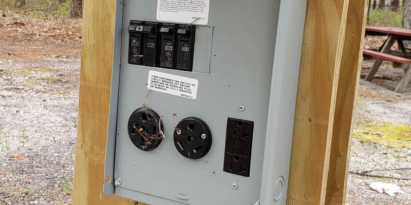 Camper submitted image from Wellfleet Hollow State Campground