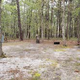 Review photo of Wellfleet Hollow State Park Campground by Jean C., May 30, 2020