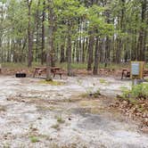 Review photo of Wellfleet Hollow State Park Campground by Jean C., May 30, 2020