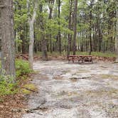 Review photo of Wellfleet Hollow State Park Campground by Jean C., May 30, 2020