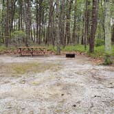 Review photo of Wellfleet Hollow State Park Campground by Jean C., May 30, 2020