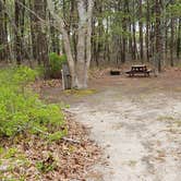 Review photo of Wellfleet Hollow State Park Campground by Jean C., May 30, 2020