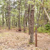 Review photo of Wellfleet Hollow State Park Campground by Jean C., May 30, 2020