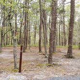 Review photo of Wellfleet Hollow State Park Campground by Jean C., May 30, 2020