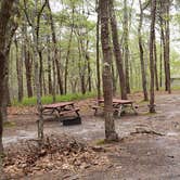 Review photo of Wellfleet Hollow State Park Campground by Jean C., May 30, 2020