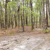 Review photo of Wellfleet Hollow State Park Campground by Jean C., May 30, 2020