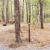 Review photo of Wellfleet Hollow State Park Campground by Jean C., May 30, 2020