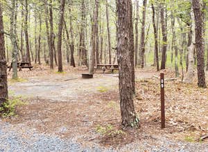 Wellfleet Hollow State Campground