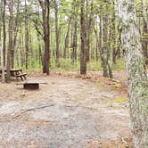 Review photo of Wellfleet Hollow State Park Campground by Jean C., May 30, 2020