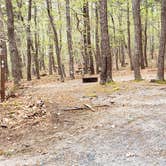 Review photo of Wellfleet Hollow State Park Campground by Jean C., May 30, 2020