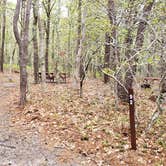 Review photo of Wellfleet Hollow State Park Campground by Jean C., May 30, 2020