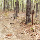 Review photo of Wellfleet Hollow State Park Campground by Jean C., May 30, 2020