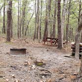 Review photo of Wellfleet Hollow State Park Campground by Jean C., May 30, 2020