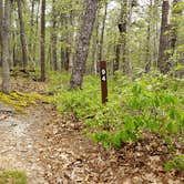 Review photo of Wellfleet Hollow State Park Campground by Jean C., May 30, 2020