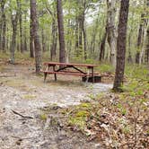 Review photo of Wellfleet Hollow State Park Campground by Jean C., May 30, 2020