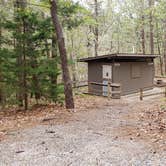 Review photo of Wellfleet Hollow State Park Campground by Jean C., May 30, 2020