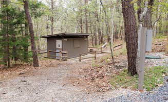 Jean C.'s photo of a cabin at Wellfleet Hollow State Campground near Hyannis, MA