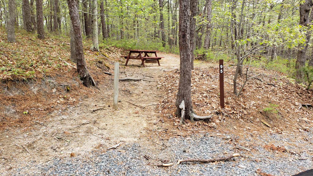 Camper-submitted photo at Wellfleet Hollow State Campground near Orleans, MA