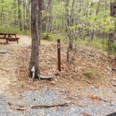 Review photo of Wellfleet Hollow State Park Campground by Jean C., May 30, 2020