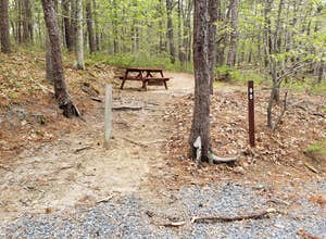 Wellfleet Hollow State Campground