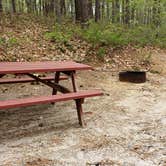 Review photo of Wellfleet Hollow State Park Campground by Jean C., May 30, 2020