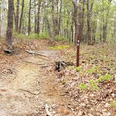 Review photo of Wellfleet Hollow State Park Campground by Jean C., May 30, 2020