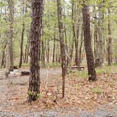 Review photo of Wellfleet Hollow State Park Campground by Jean C., May 30, 2020