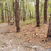 Review photo of Wellfleet Hollow State Park Campground by Jean C., May 30, 2020