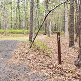 Review photo of Wellfleet Hollow State Park Campground by Jean C., May 30, 2020