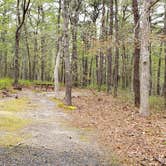 Review photo of Wellfleet Hollow State Park Campground by Jean C., May 30, 2020