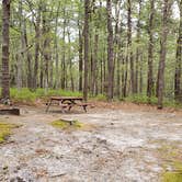 Review photo of Wellfleet Hollow State Park Campground by Jean C., May 30, 2020