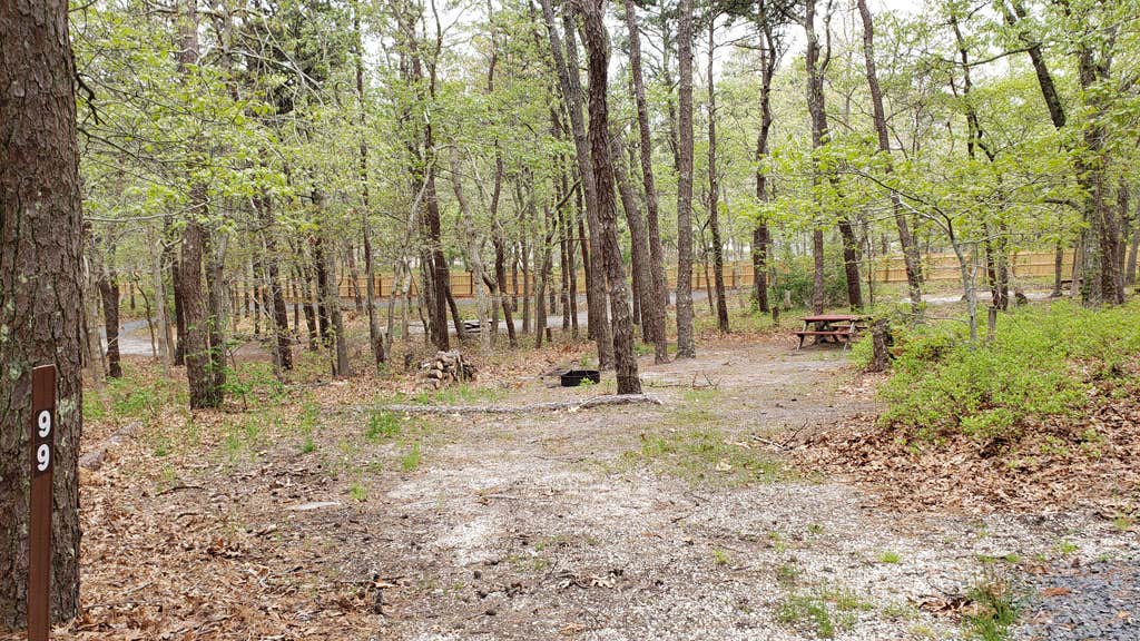 Camper-submitted photo at Wellfleet Hollow State Campground near Orleans, MA