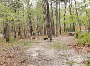 Wellfleet Hollow State Campground