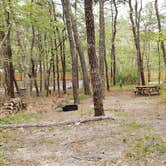 Review photo of Wellfleet Hollow State Park Campground by Jean C., May 30, 2020