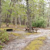 Review photo of Wellfleet Hollow State Park Campground by Jean C., May 30, 2020