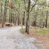 Review photo of Wellfleet Hollow State Park Campground by Jean C., May 30, 2020