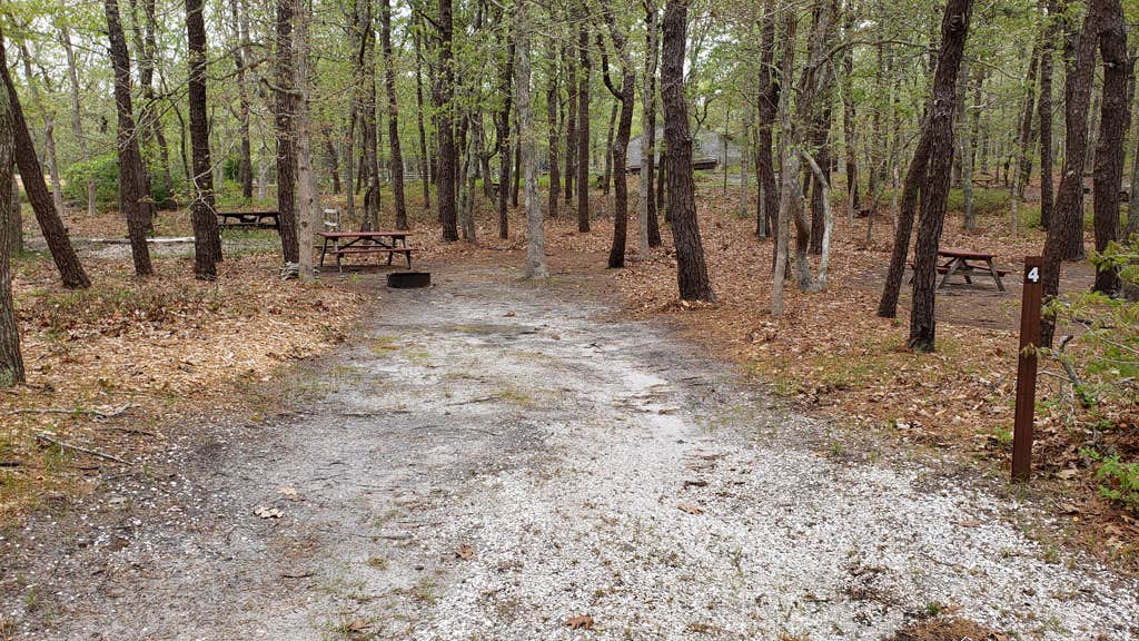Camper-submitted photo at Wellfleet Hollow State Campground near Orleans, MA