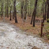 Review photo of Wellfleet Hollow State Park Campground by Jean C., May 30, 2020