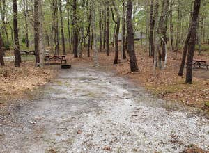 Wellfleet Hollow State Campground