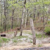 Review photo of Wellfleet Hollow State Park Campground by Jean C., May 30, 2020