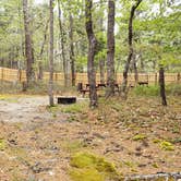 Review photo of Wellfleet Hollow State Park Campground by Jean C., May 30, 2020